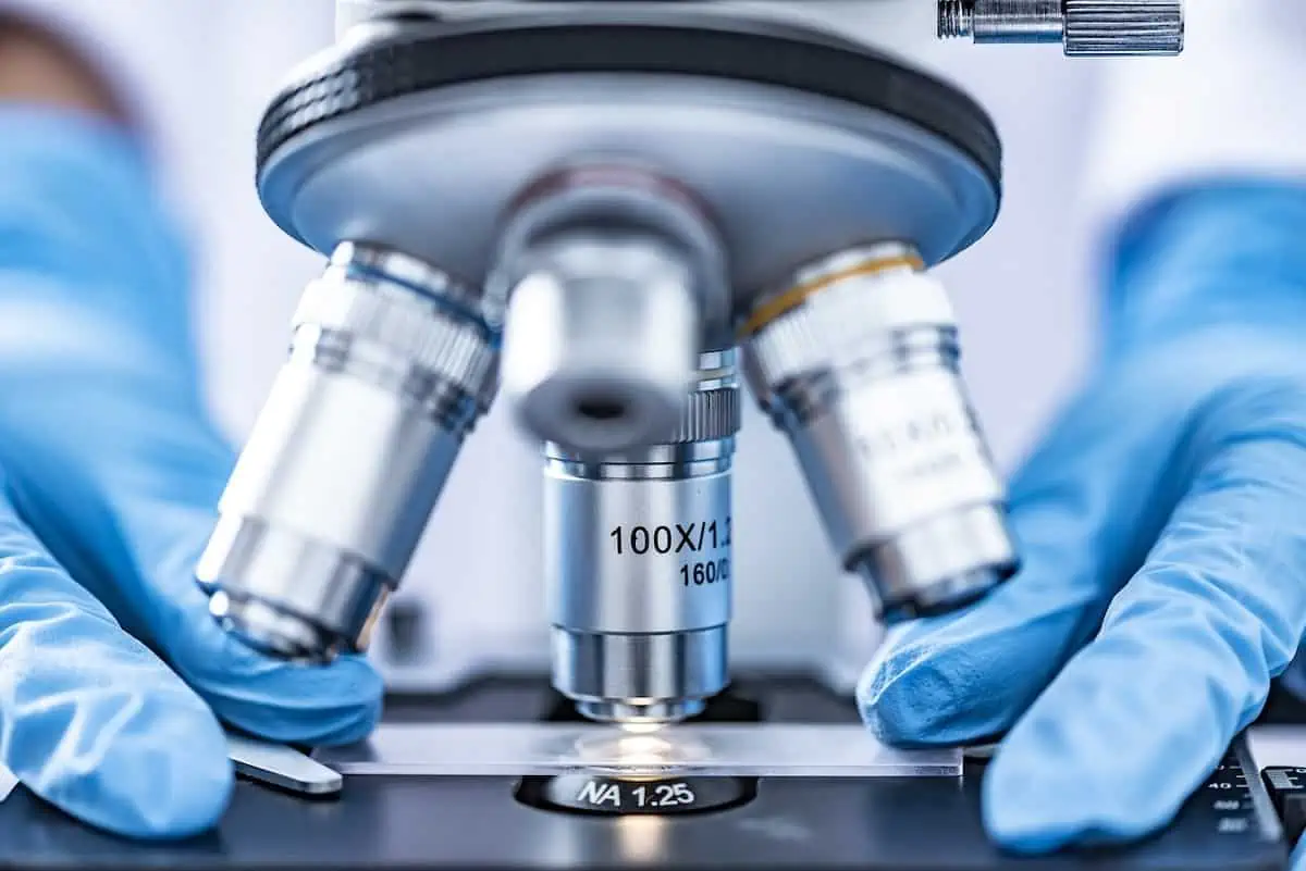 Revolutionizing Cell Culture: The Impact of Hollow Fiber Bioreactors in Biotechnology!