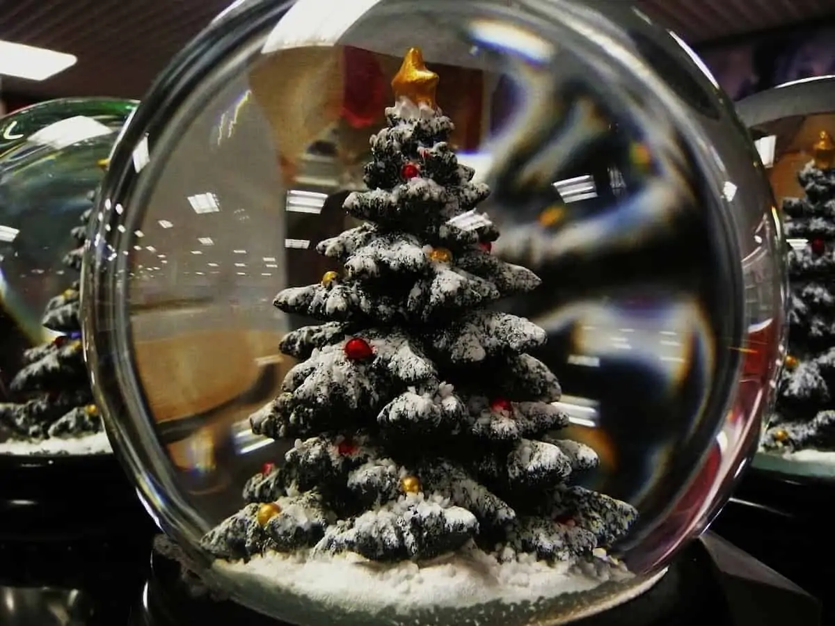 The Christmas Tree Supply Chain!