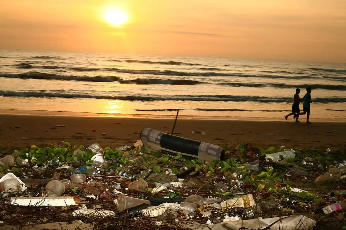 Ocean Plastics