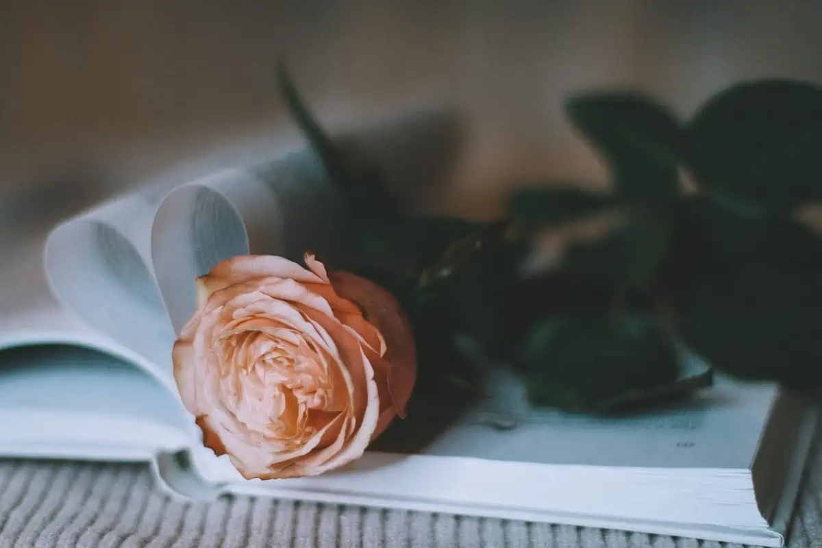Scholarly Essays on a Rose for Emily!