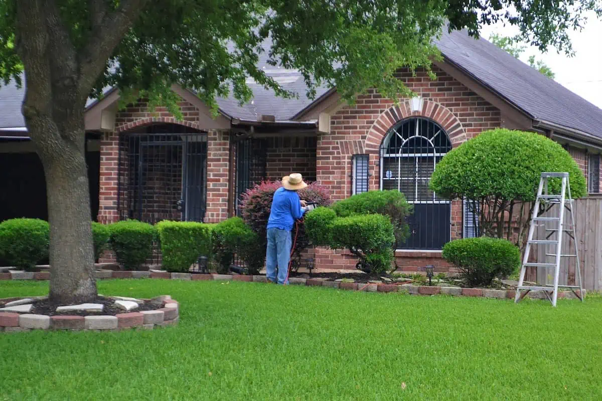 Landscaping Projects